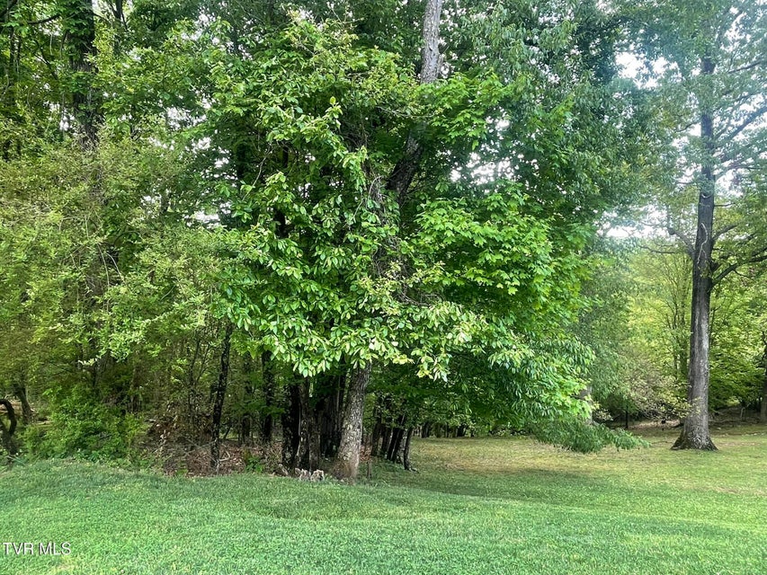 Photo #3: Tbd Hillcrest Drive