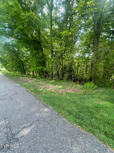 Photo #11: Tbd Hillcrest Drive