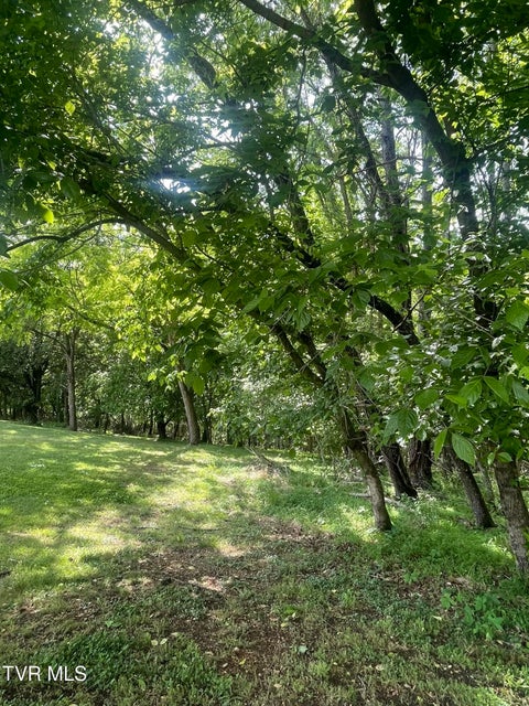 Photo #13: Tbd Hillcrest Drive