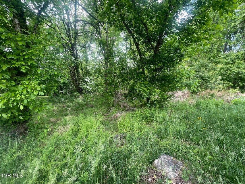 Photo #14: Tbd Hillcrest Drive