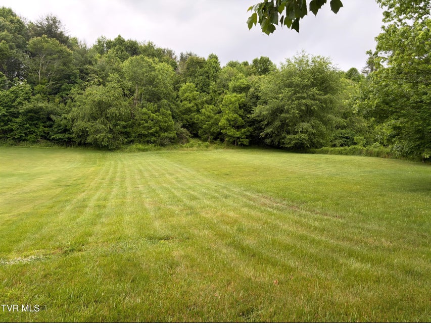 Photo #6: 1519 Spear Branch Road