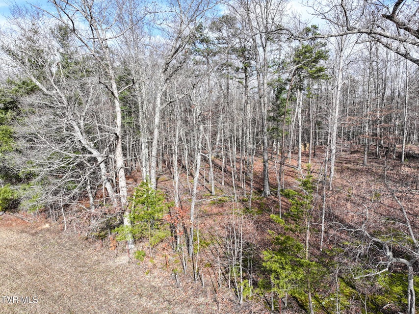 Photo #23: 875 Frank Roberts Road