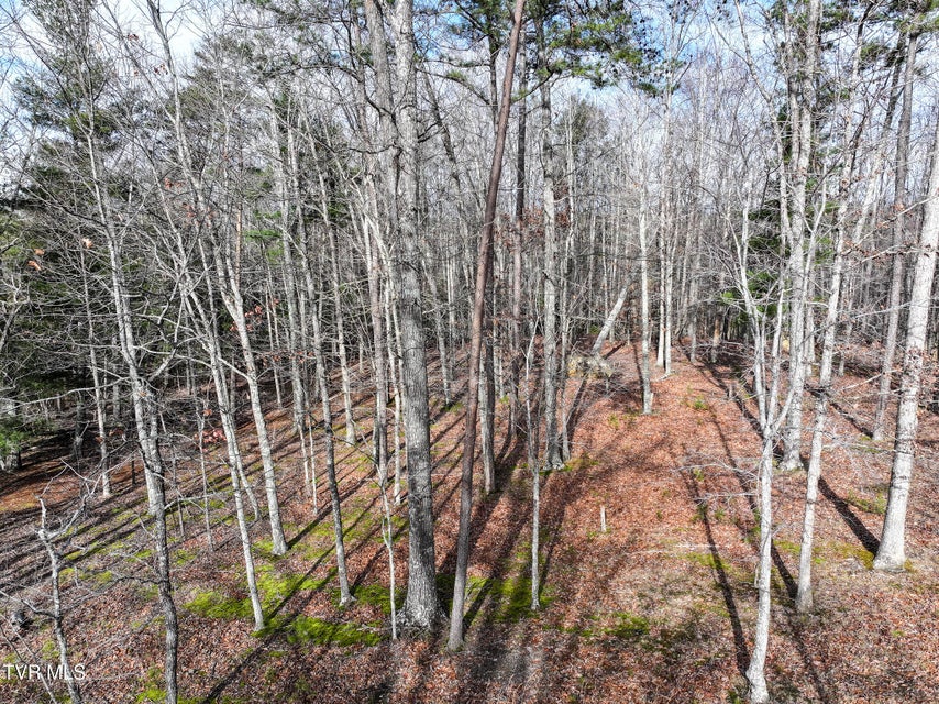 Photo #24: 875 Frank Roberts Road