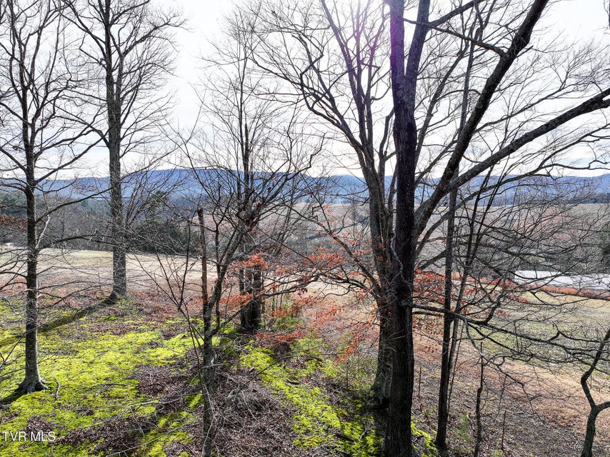 Photo #25: 875 Frank Roberts Road