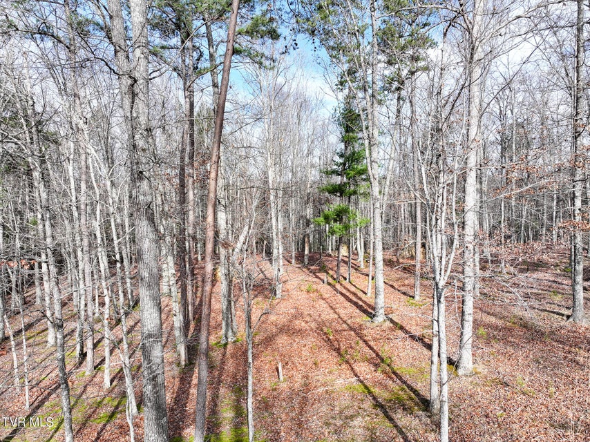 Photo #26: 875 Frank Roberts Road