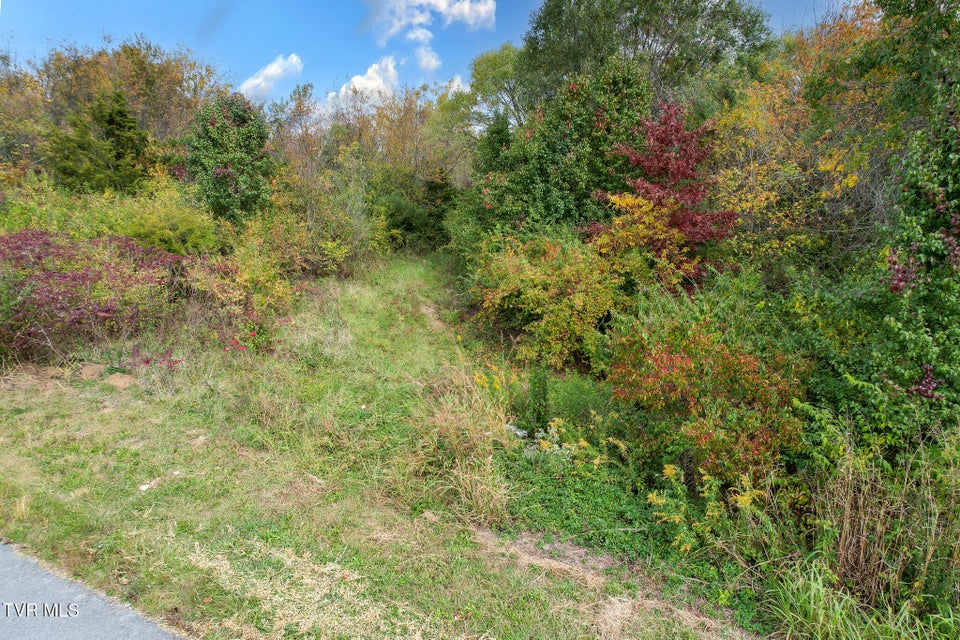 Photo #17: 0 Morelock Road