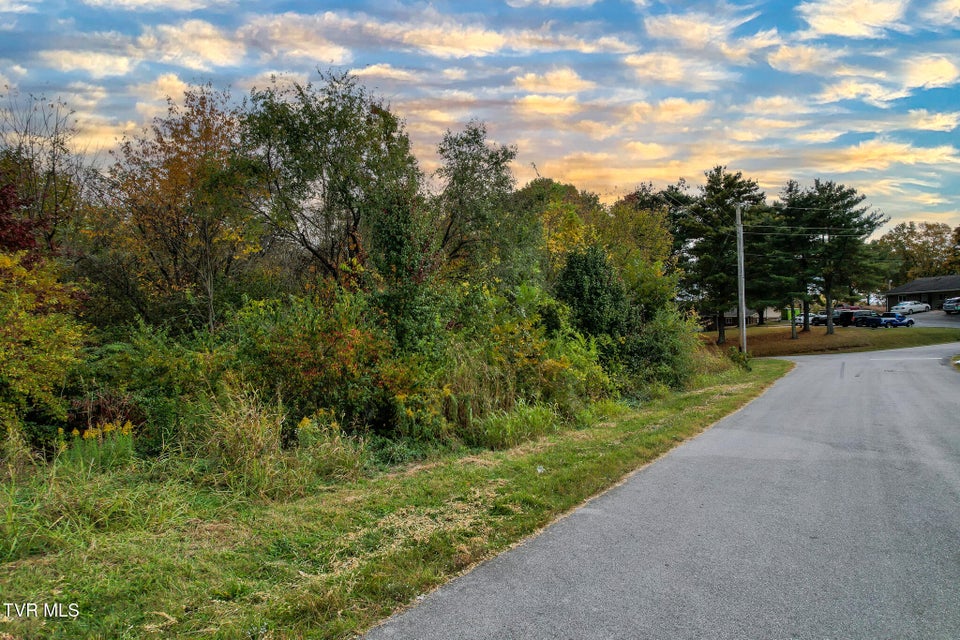 Photo #18: 0 Morelock Road