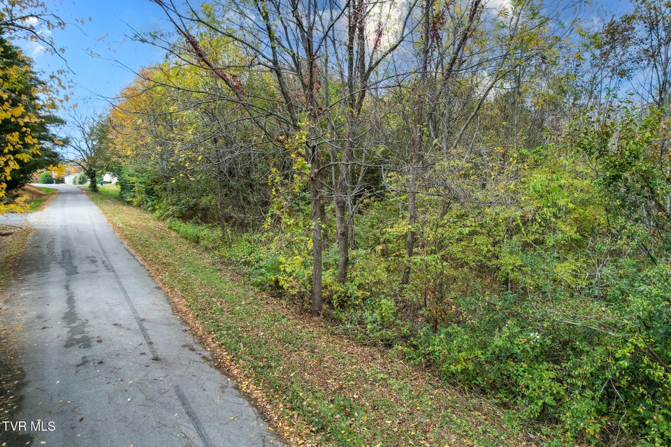 Photo #25: 0 Morelock Road