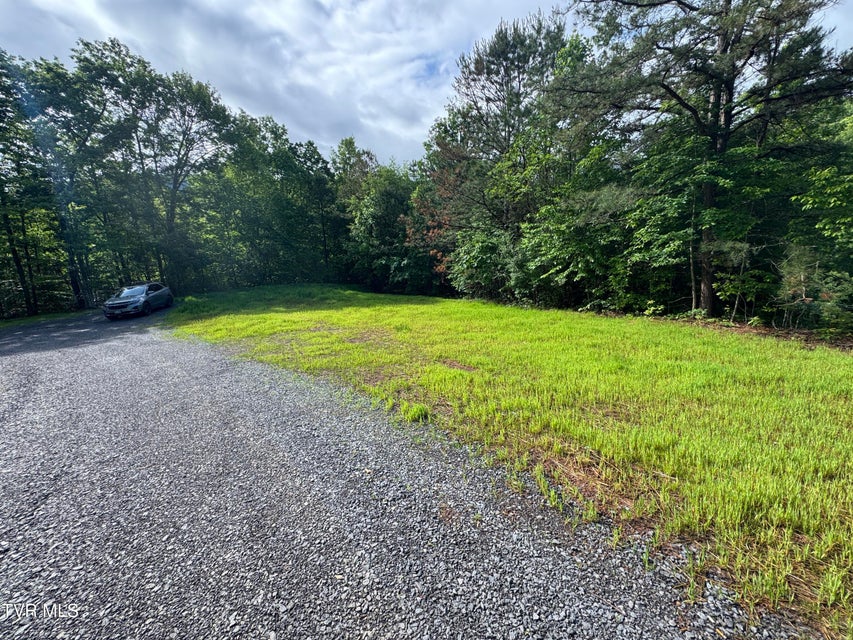 Photo #9: 1555 Hamner Hollow Road
