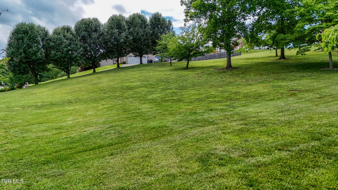 Photo #73: 243 Southridge Drive