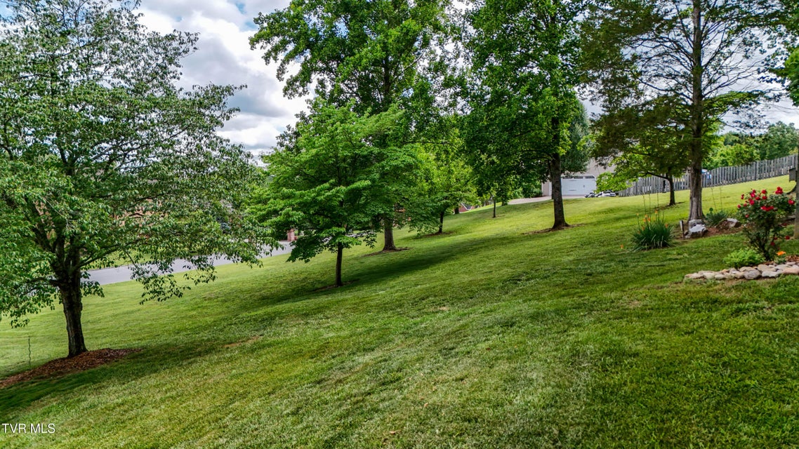 Photo #75: 243 Southridge Drive