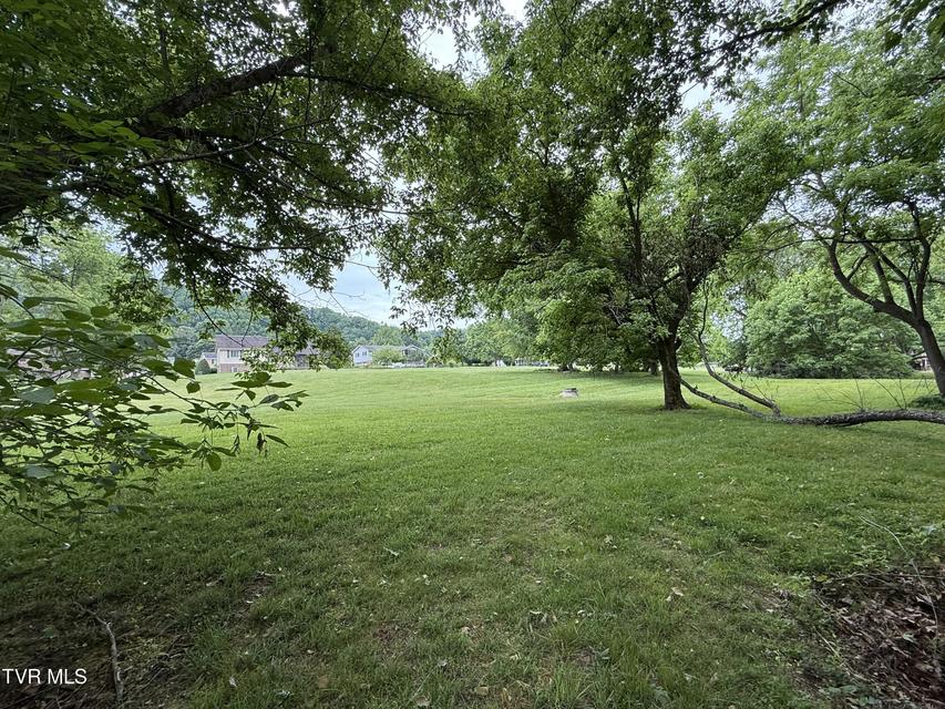Photo #7: Tbd Bogey Drive