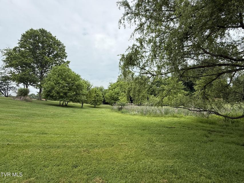 Photo #8: Tbd Bogey Drive