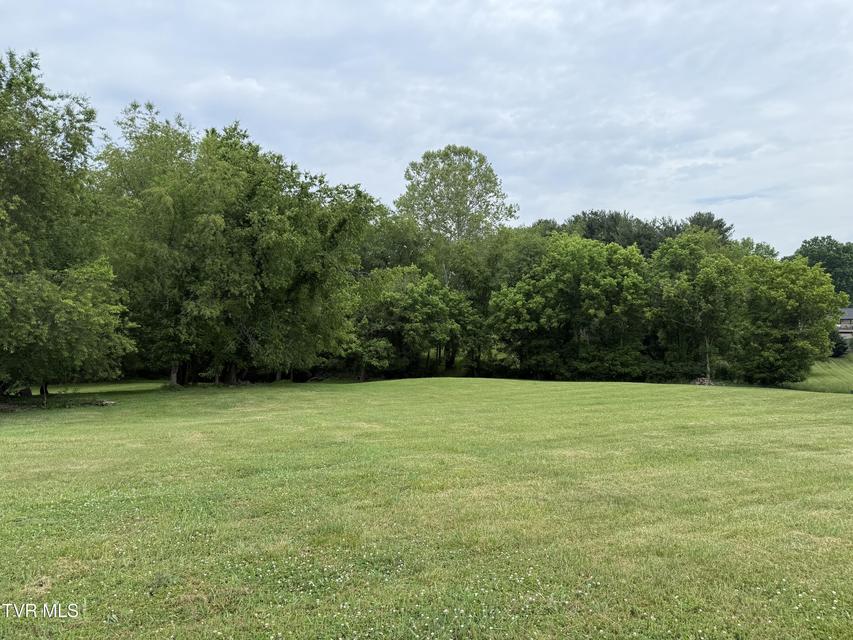 Photo #10: Tbd Bogey Drive
