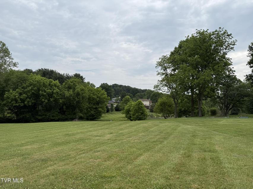 Photo #9: Tbd Bogey Drive