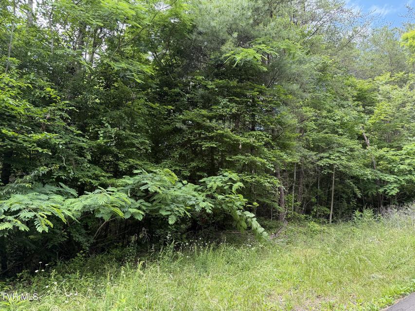 Photo #3: Tbd Obes Branch Road