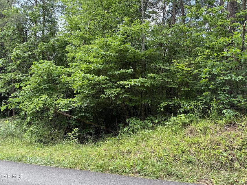 Photo #4: Tbd Obes Branch Road