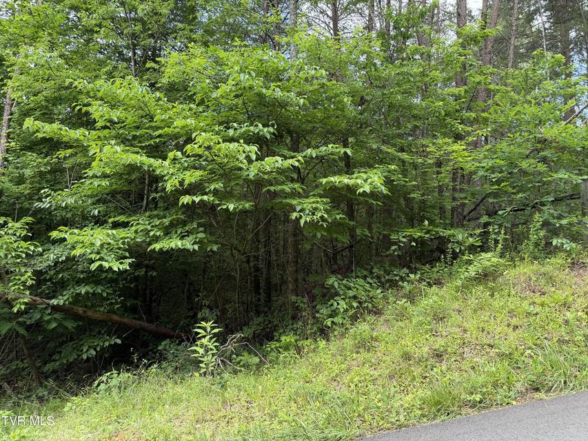 Photo #7: Tbd Obes Branch Road