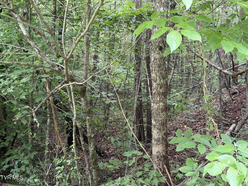 Photo #13: Tbd Obes Branch Road