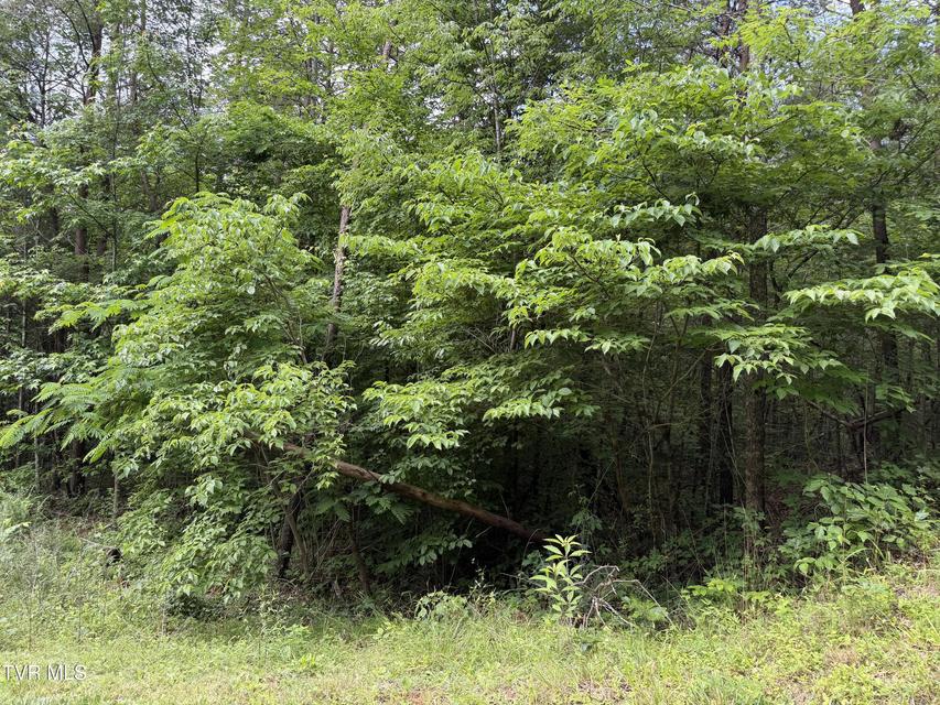 Photo #8: Tbd Obes Branch Road