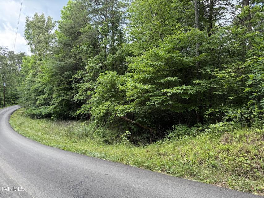 Photo #2: Tbd Obes Branch Road