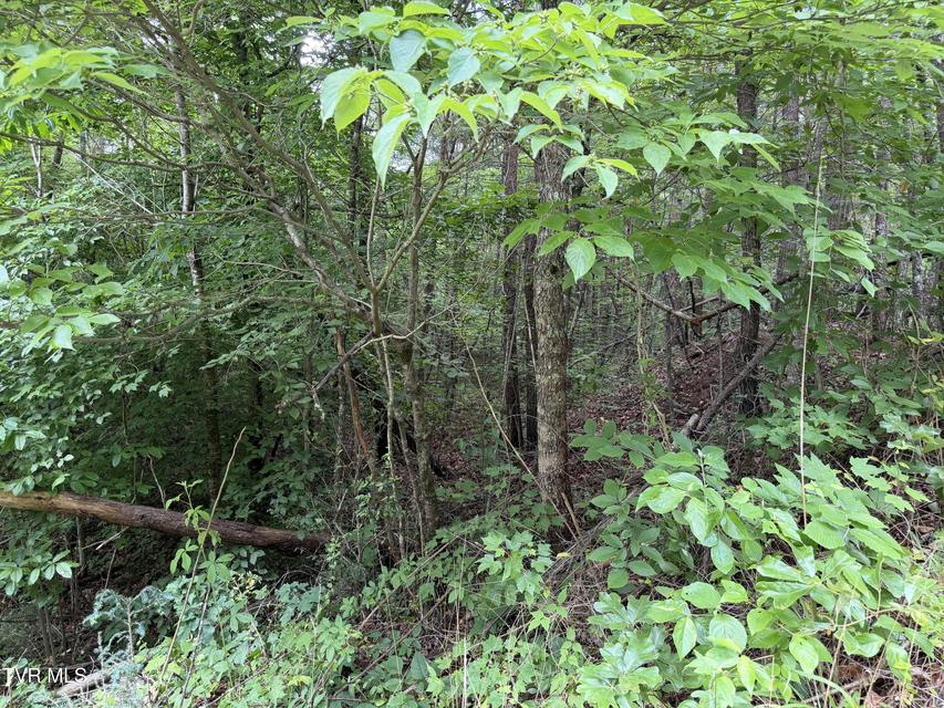 Photo #11: Tbd Obes Branch Road