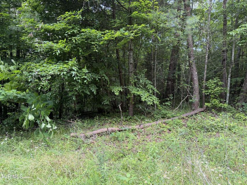 Photo #5: Tbd Obes Branch Road