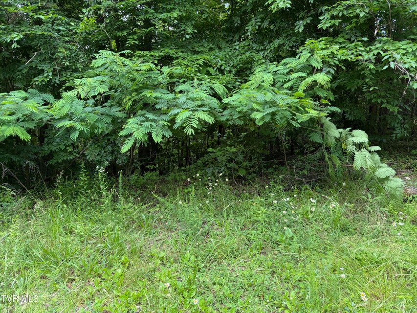 Photo #6: Tbd Obes Branch Road