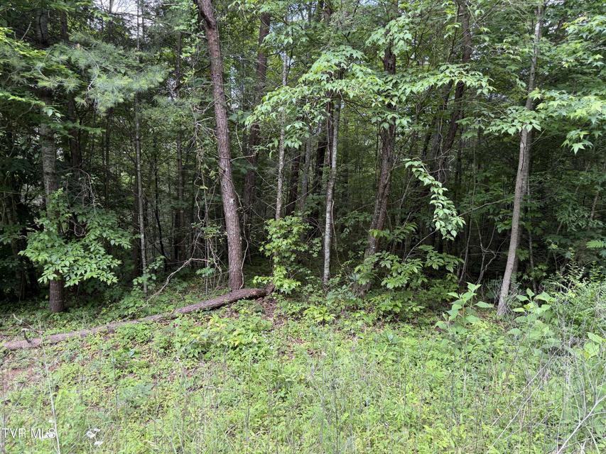 Photo #12: Tbd Obes Branch Road