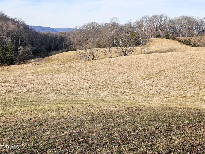 Photo #41: 760 Church Road