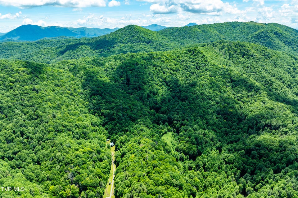 Photo #71: 916 Willens Gap Road