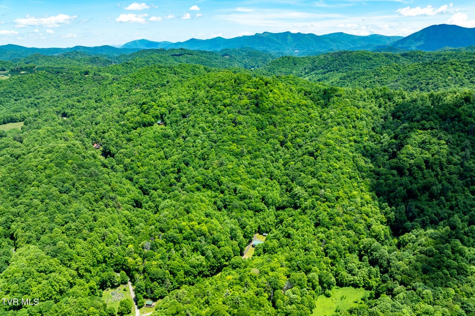 Photo #77: 916 Willens Gap Road