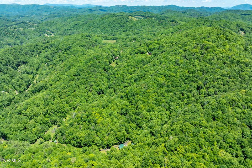 Photo #78: 916 Willens Gap Road