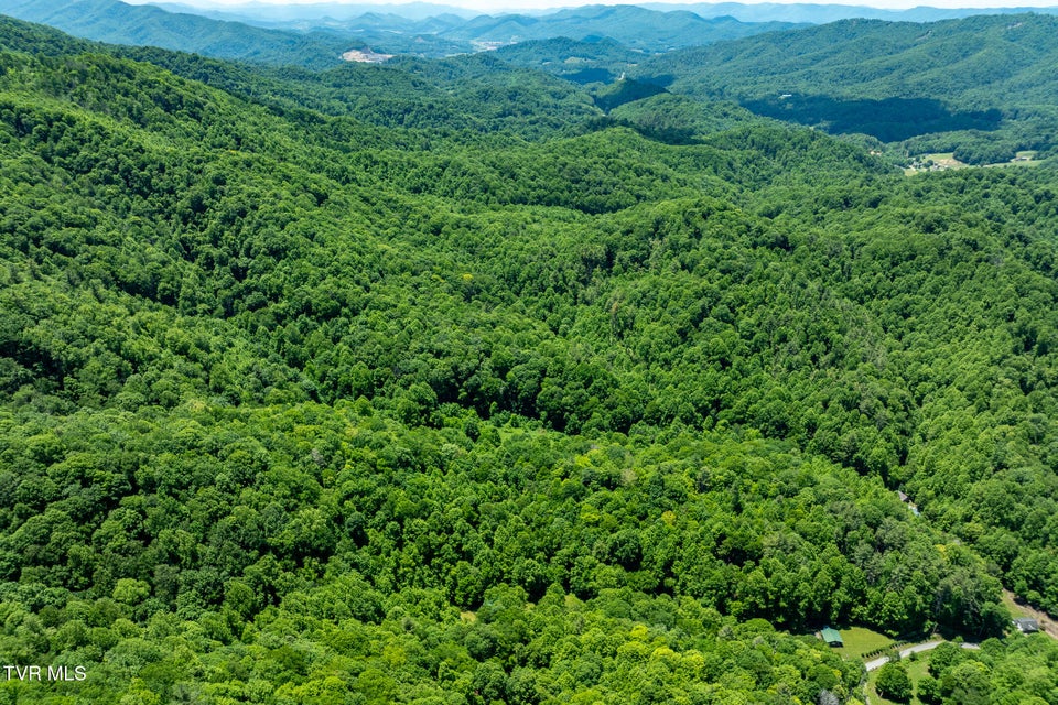 Photo #82: 916 Willens Gap Road