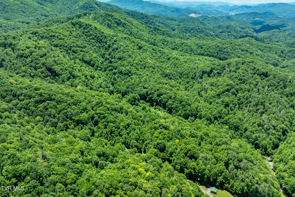Photo #83: 916 Willens Gap Road
