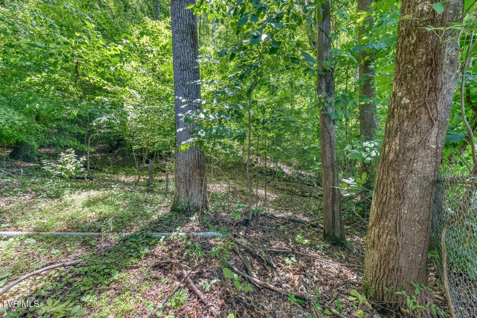 Photo #56: 429 Hidden Valley Road