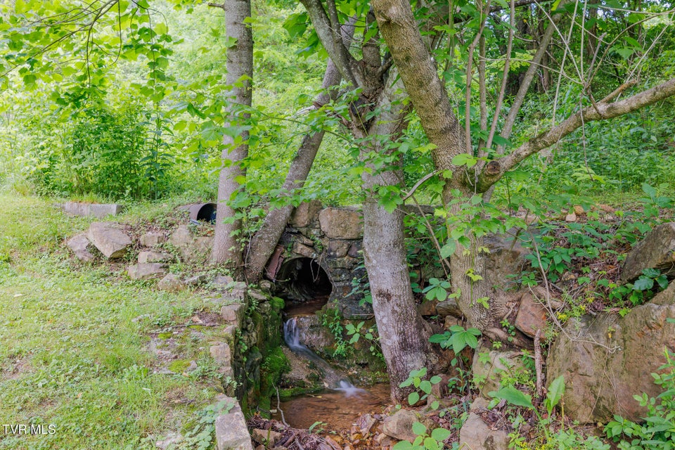Photo #21: 1380 Allison Gap Road