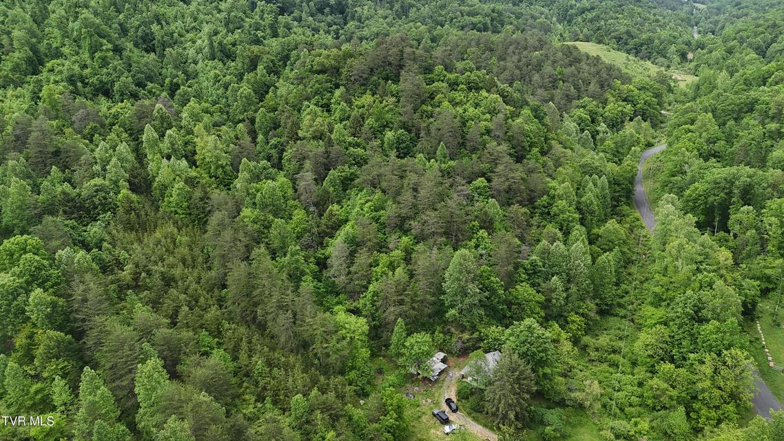 Photo #2: Tbd Early Branch Road