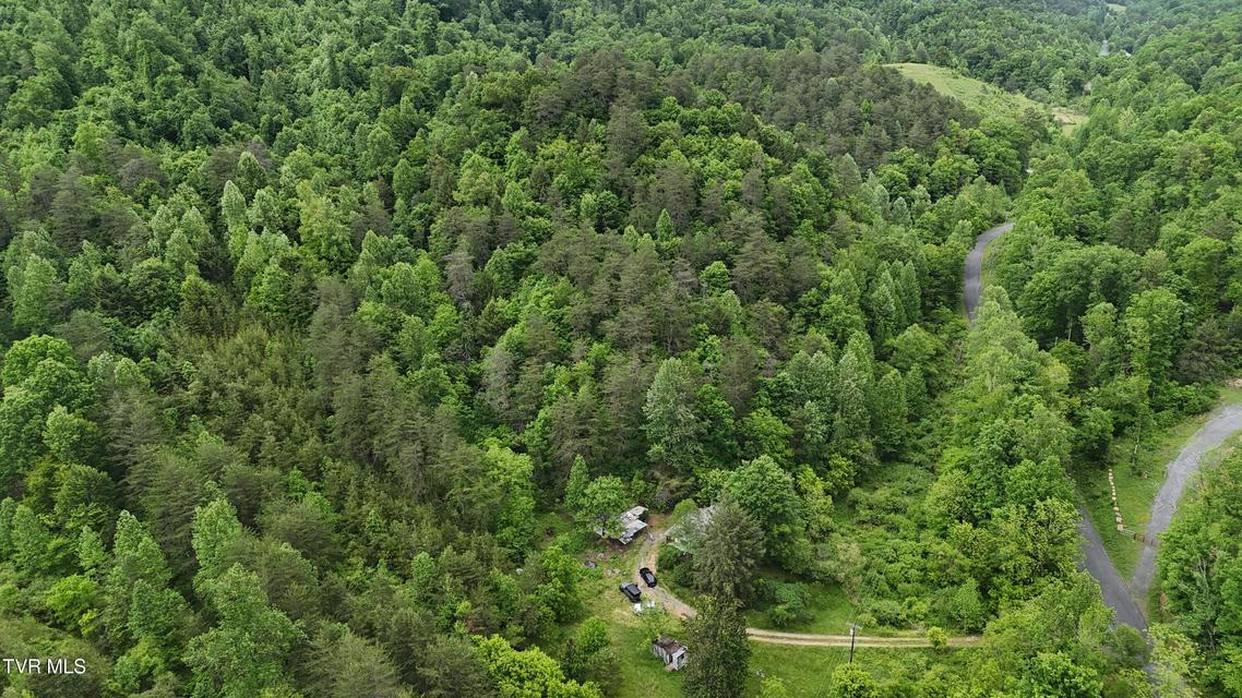 Photo #3: Tbd Early Branch Road