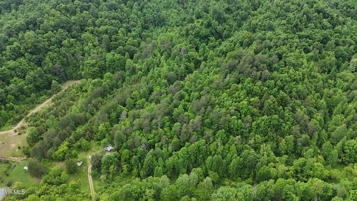 Photo #11: Tbd Early Branch Road