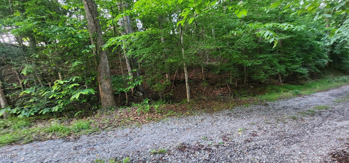 Photo #8: Tbd Beulah Lane