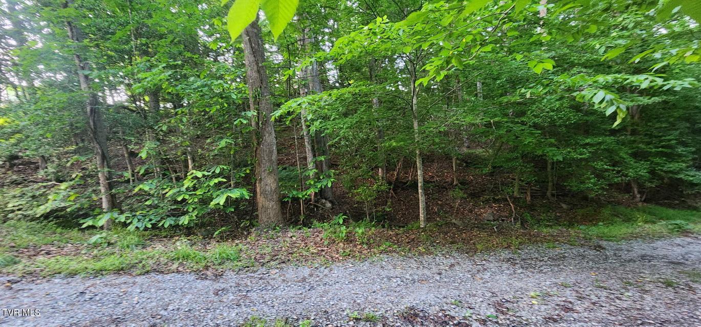 Photo #9: Tbd Beulah Lane