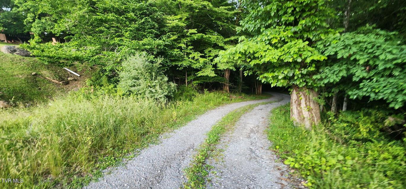 Photo #11: Tbd Beulah Lane