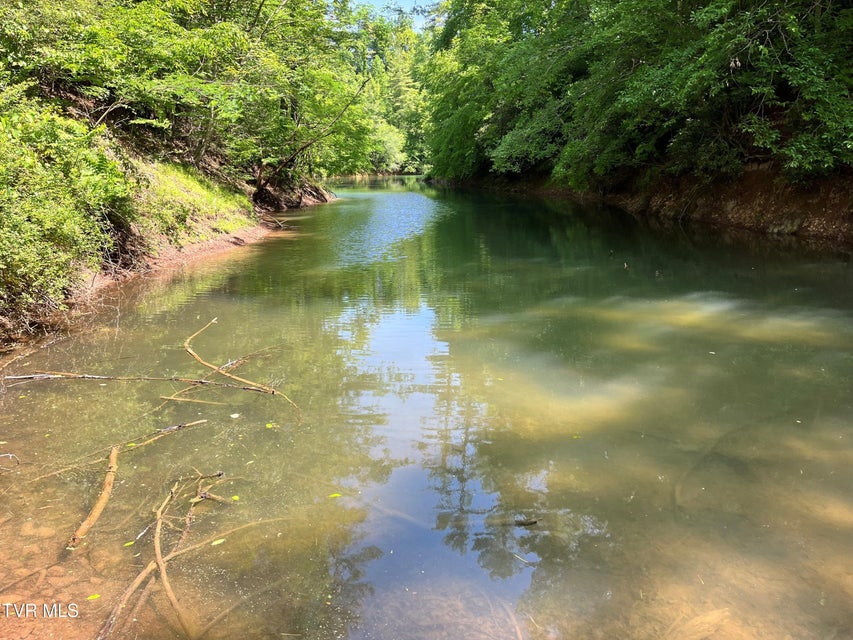 Photo #8: Tr1 Smith Hollow 