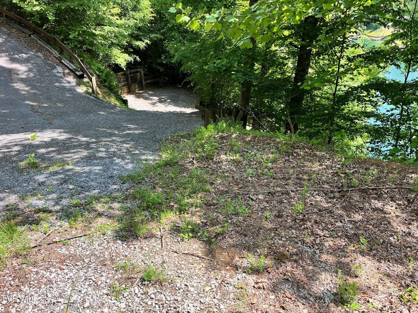 Photo #18: Tr1 Smith Hollow 