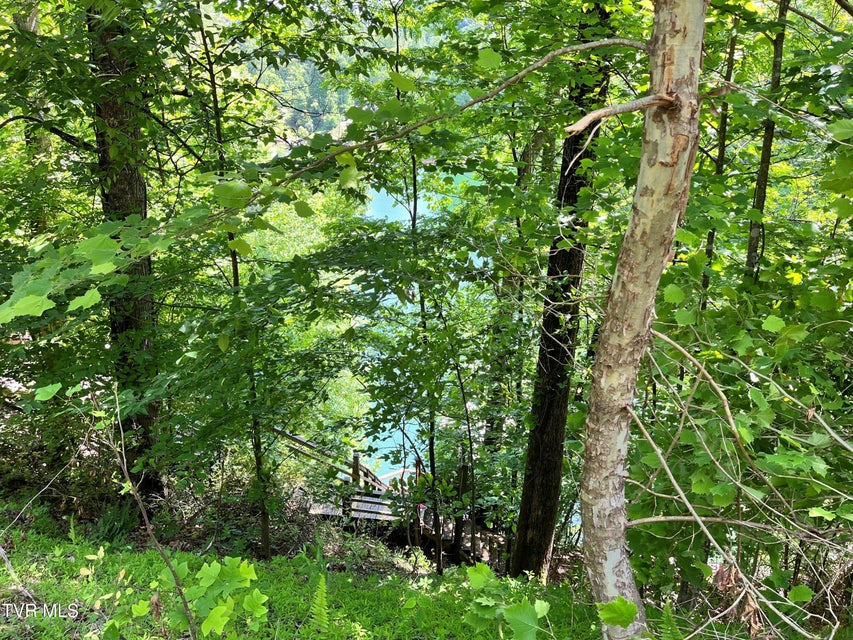 Photo #23: Tr1 Smith Hollow 
