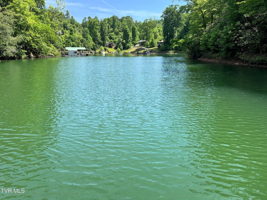 Photo #29: Tr1 Smith Hollow 