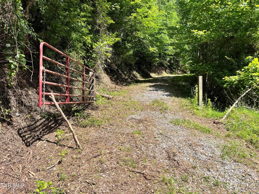 Photo #37: Tr1 Smith Hollow 