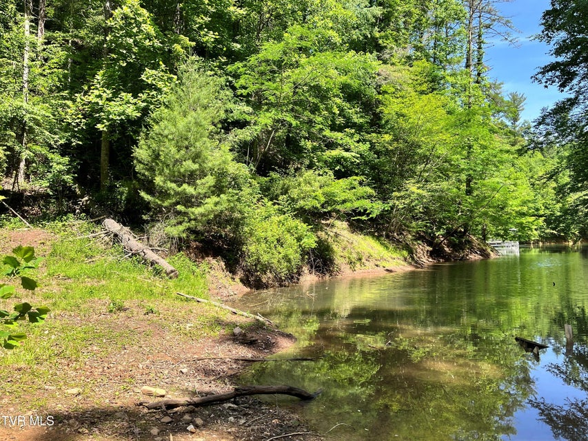 Photo #39: Tr1 Smith Hollow 