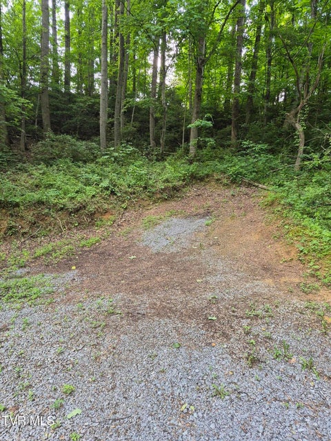 Photo #5: 134 Thomas And Webb Road